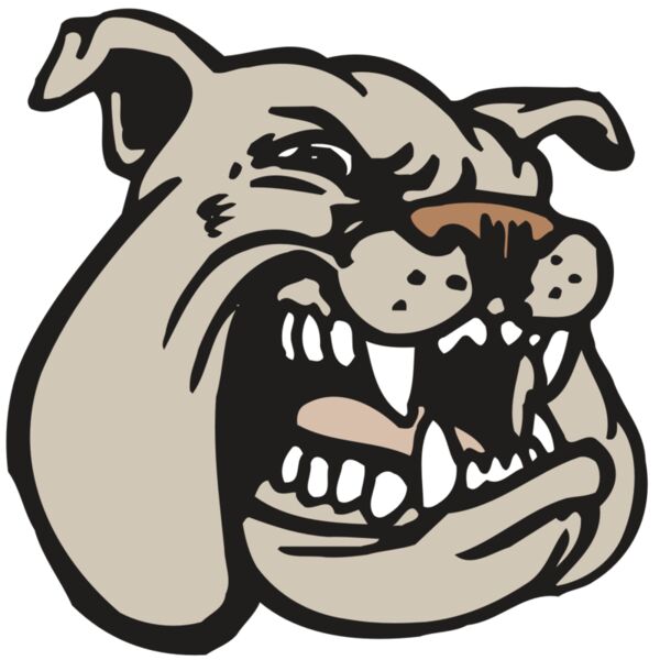 AR BDOG 38 RC Thumbnail