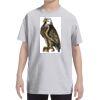 Youth DRI-POWER® ACTIVE T-Shirt Thumbnail