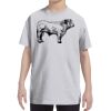 Youth DRI-POWER® ACTIVE T-Shirt Thumbnail