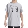 Youth DRI-POWER® ACTIVE T-Shirt Thumbnail